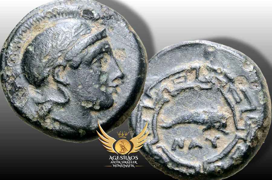 Agesilaos Antik Sikkeler Nümizmatik_NA.jpg