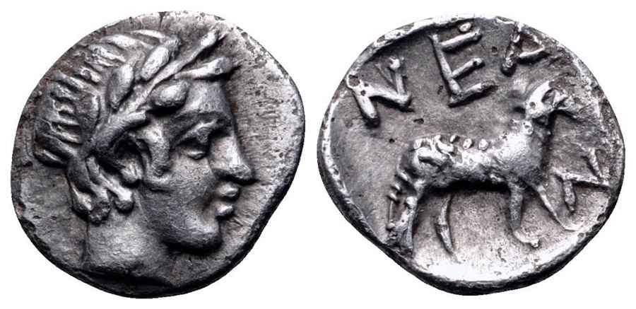 Agesilaos Antik Sikkeler Nümizmatik_NEAN (6).jpg