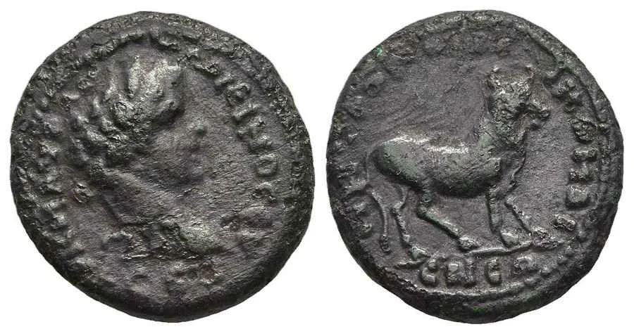 Agesilaos Antik Sikkeler Nümizmatik_NICO (12).webp