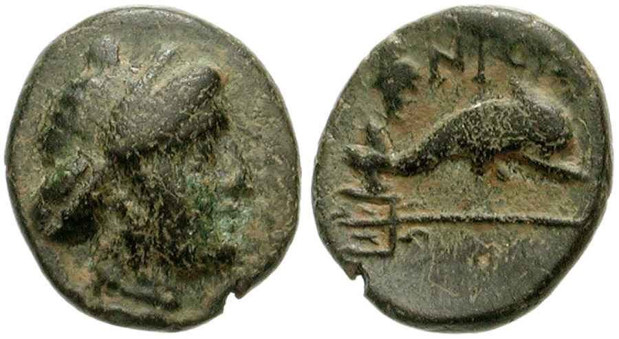 Agesilaos Antik Sikkeler Nümizmatik_NIS (4).jpg