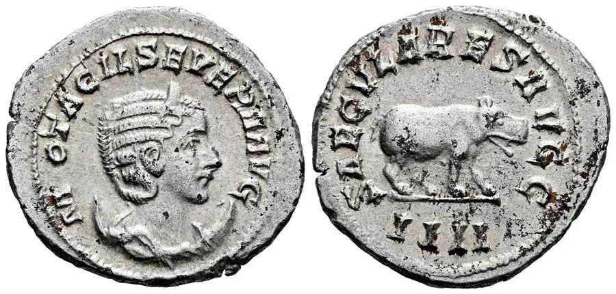  Agesilaos Antik Sikkeler Nümizmatik_O_SEV (3).webp