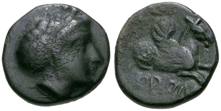 Agesilaos Antik Sikkeler Nümizmatik_ORONTHES (4).jpg