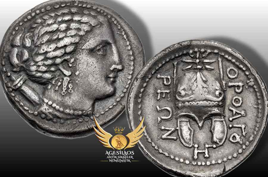 Agesilaos Antik Sikkeler Nümizmatik_ORTH.jpg
