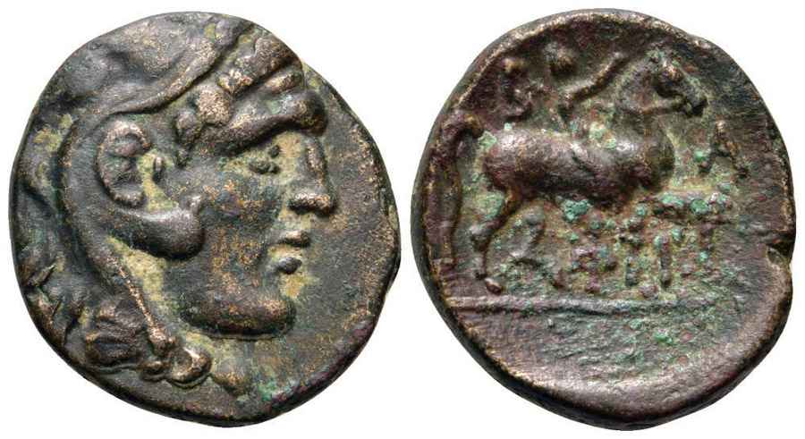 Agesilaos Antik Sikkeler Nümizmatik_P_V (9).jpg