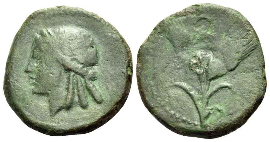 Agesilaos Antik Sikkeler Nümizmatik_PANAR (10).jpg