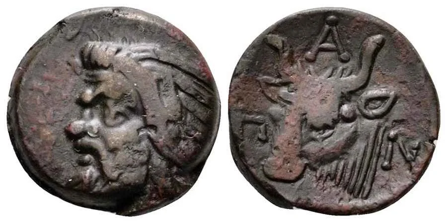 Agesilaos Antik Sikkeler Nümizmatik_PANT (5).webp