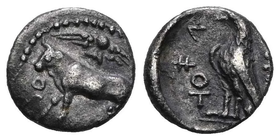 Agesilaos Antik Sikkeler Nümizmatik_PAPH (9).webp