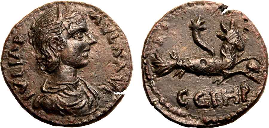 Agesilaos Antik Sikkeler Nümizmatik_PARIVM (1).jpg