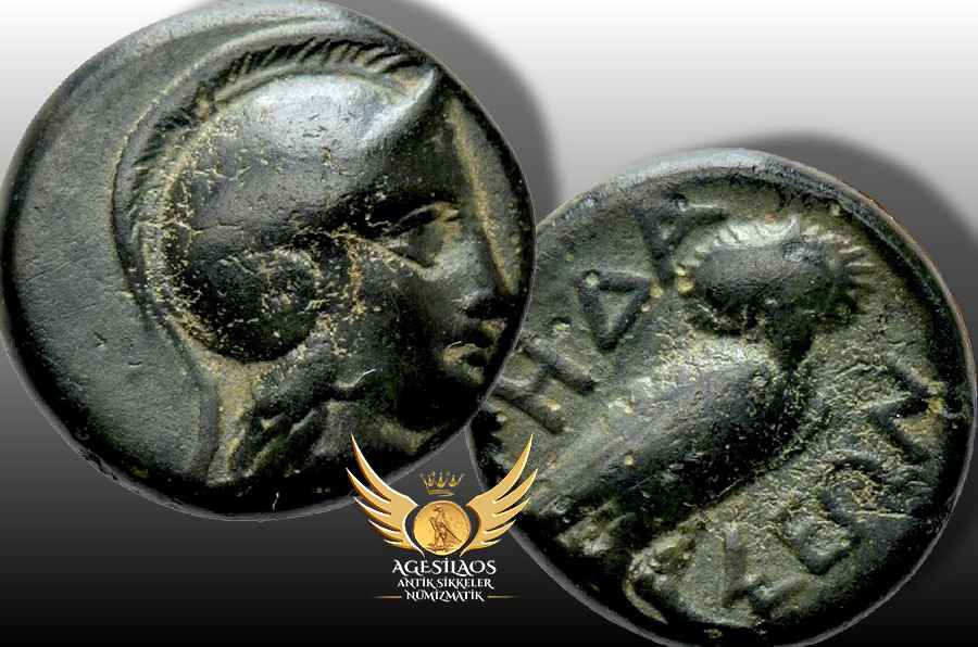 Agesilaos Antik Sikkeler Nümizmatik_PE.jpg