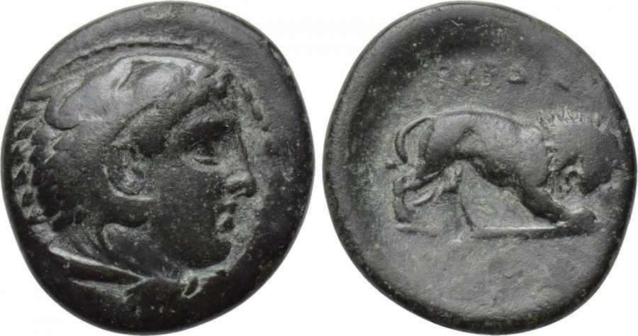 Agesilaos Antik Sikkeler Nümizmatik_PER_III (10).jpg