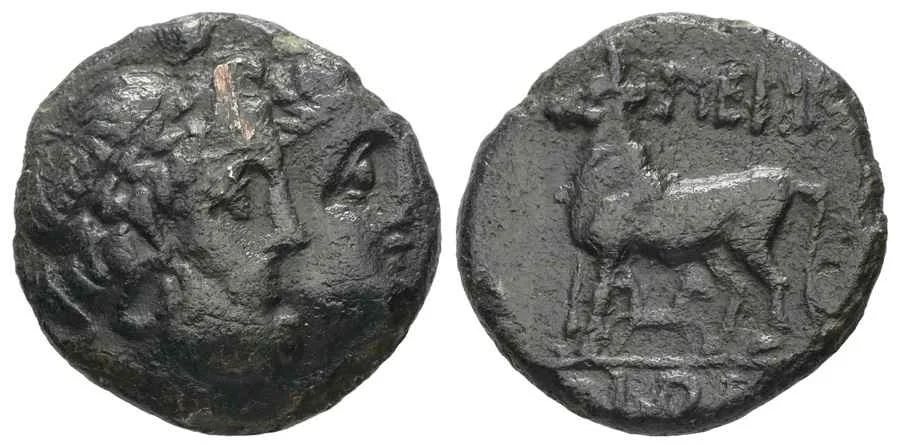 Agesilaos Antik Sikkeler Nümizmatik_PERNTH (17).webp