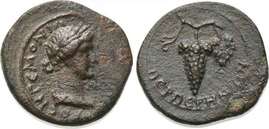 Agesilaos Antik Sikkeler Nümizmatik_PERPERENE (3).jpg