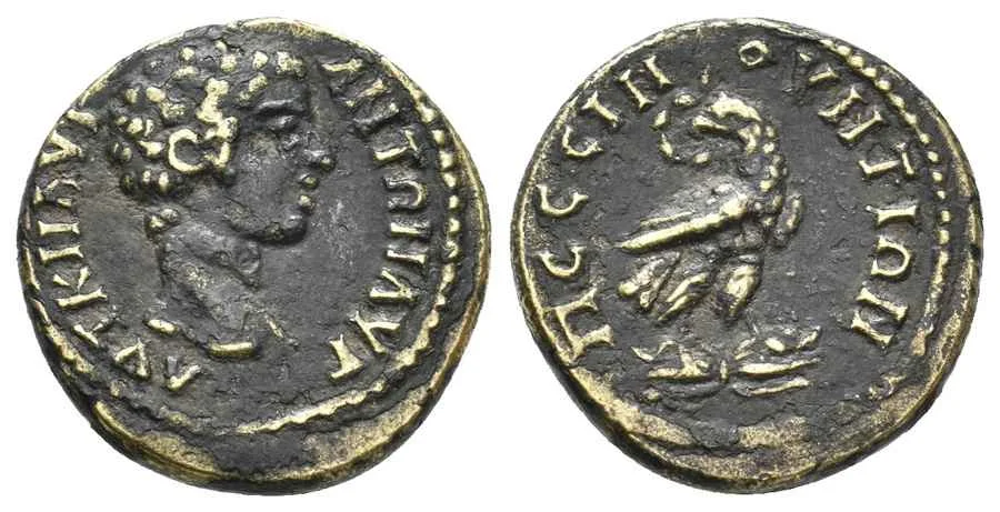 Agesilaos Antik Sikkeler Nümizmatik_pessınvs (5).webp