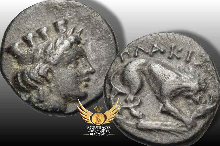 Agesilaos Antik Sikkeler Nümizmatik_pl.jpg