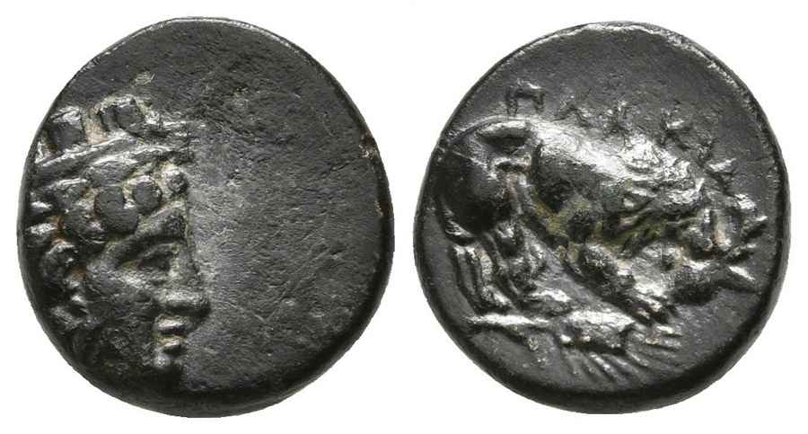 Agesilaos Antik Sikkeler Nümizmatik_PLAKA (11).jpg