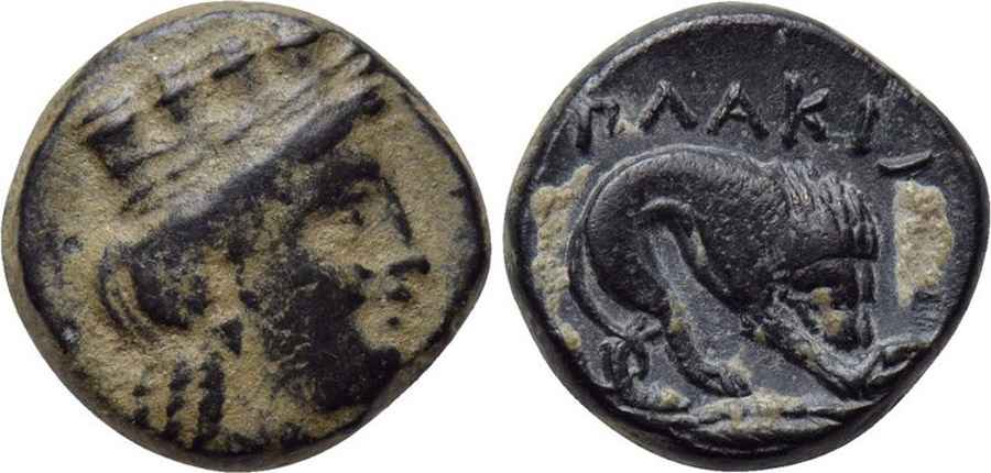 Agesilaos Antik Sikkeler Nümizmatik_PLAKA (2).jpg