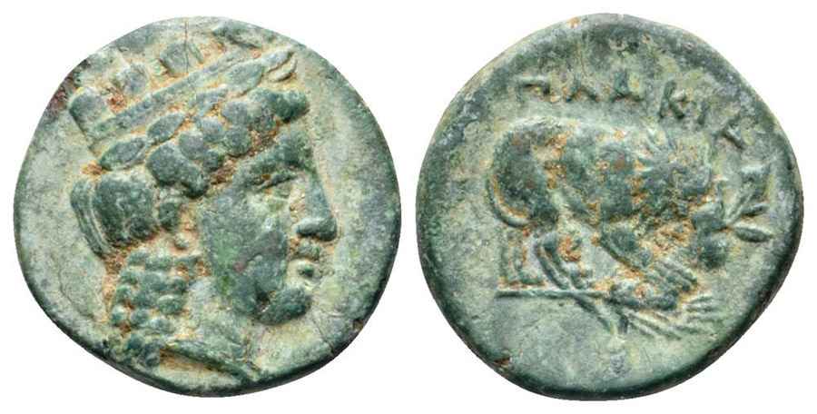 Agesilaos Antik Sikkeler Nümizmatik_PLAKA (3).jpg