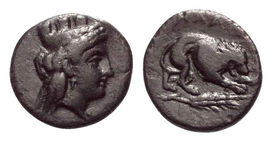 Agesilaos Antik Sikkeler Nümizmatik_PLAKA (8).jpg