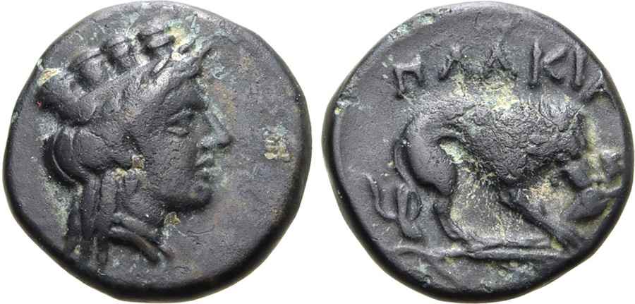 Agesilaos Antik Sikkeler Nümizmatik_PLAKAI (4).jpg