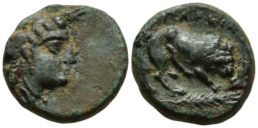 Agesilaos Antik Sikkeler Nümizmatik_PLAKAI (6).jpg