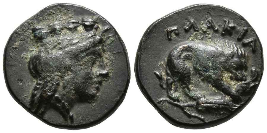 Agesilaos Antik Sikkeler Nümizmatik_PLAKAI (8).jpg