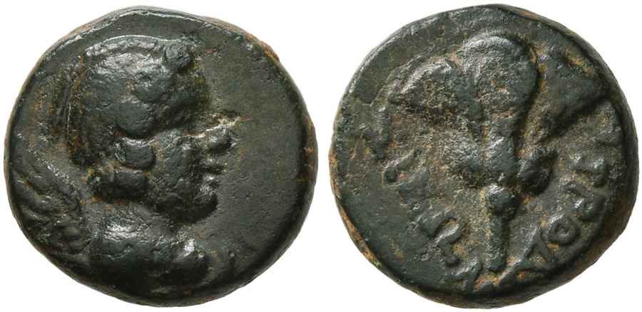  Agesilaos Antik Sikkeler Nümizmatik_PLAR (11).jpg