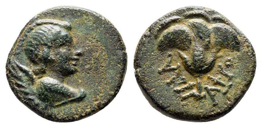  Agesilaos Antik Sikkeler Nümizmatik_PLAR (13).jpg