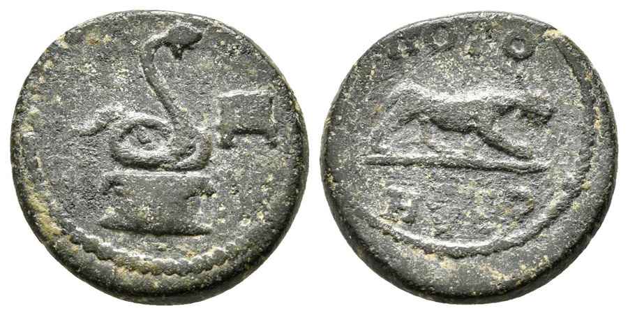 Agesilaos Antik Sikkeler Nümizmatik_PORD (10).jpg