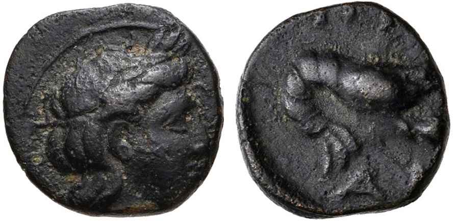  Agesilaos Antik Sikkeler Nümizmatik_PRI (2).jpg