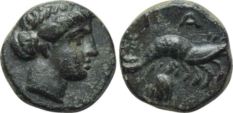  Agesilaos Antik Sikkeler Nümizmatik_PRI (7).jpg