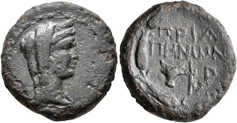 Agesilaos Antik Sikkeler Nümizmatik_PRIAPOS (3).jpg