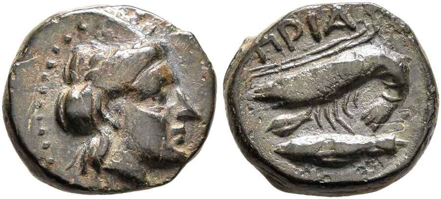 Agesilaos Antik Sikkeler Nümizmatik_PRIAPOS (5).jpg