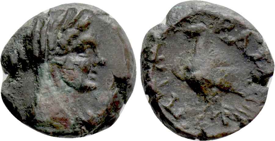 Agesilaos Antik Sikkeler Nümizmatik_PT (4).jpg