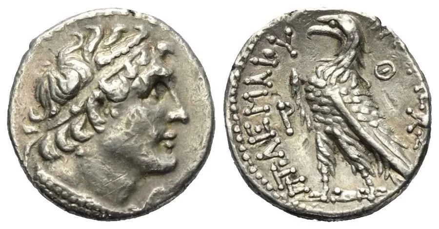 Agesilaos Antik Sikkeler Nümizmatik_Ptolemy VI  (9).webp