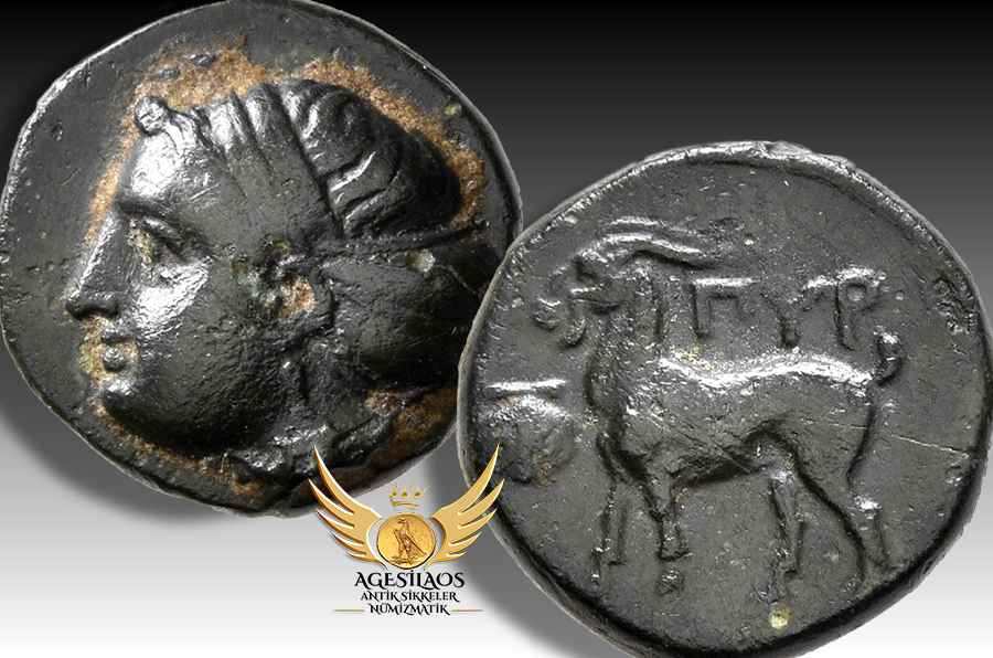 Agesilaos Antik Sikkeler Nümizmatik_Pyrrha.jpg