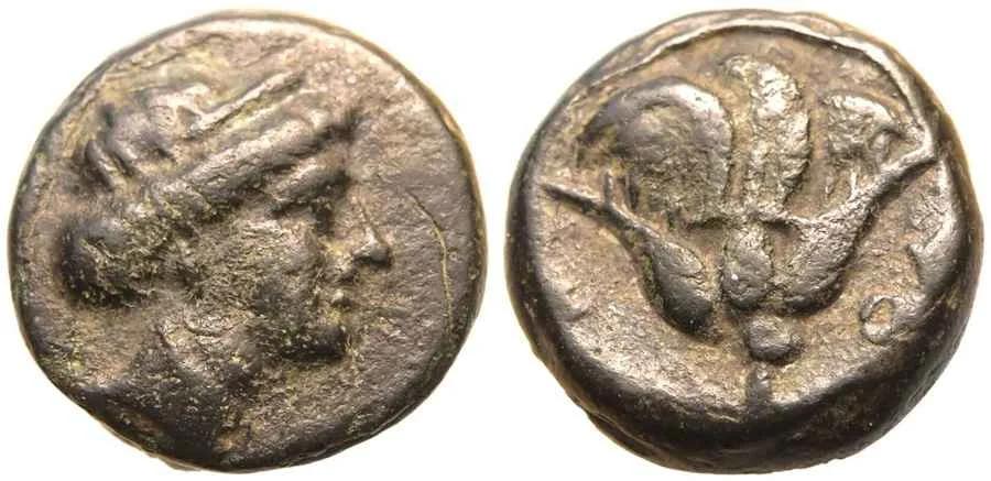 Agesilaos Antik Sikkeler Nümizmatik_RHO (9).webp