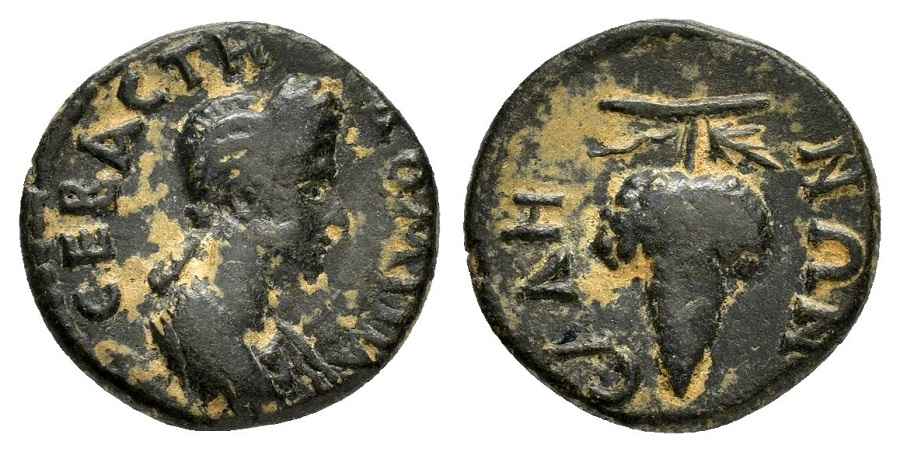 Agesilaos Antik Sikkeler Nümizmatik_SALA (1).jpg