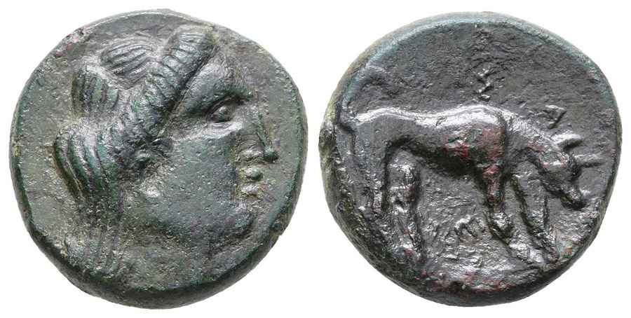 Agesilaos Antik Sikkeler Nümizmatik_SEGA (1).jpg