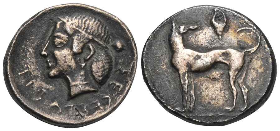 Agesilaos Antik Sikkeler Nümizmatik_SEGA (2).jpg