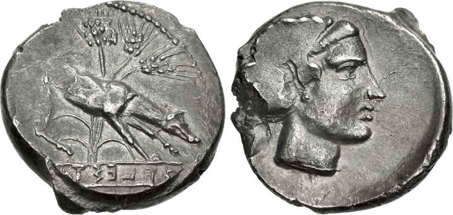 Agesilaos Antik Sikkeler Nümizmatik_SEGA (7).jpg