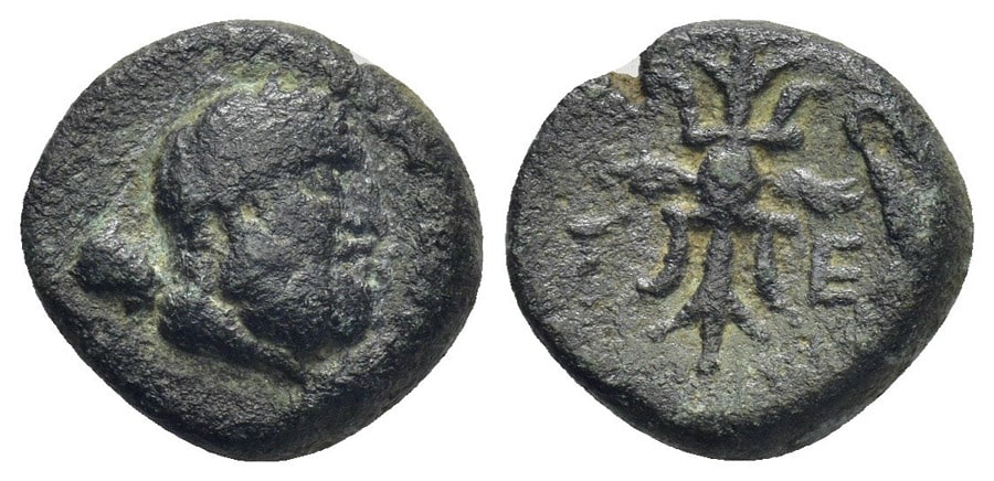 AGESİLAOS ANTİK SİKKELER NÜMİZMATİK_SELGEON (6).jpg