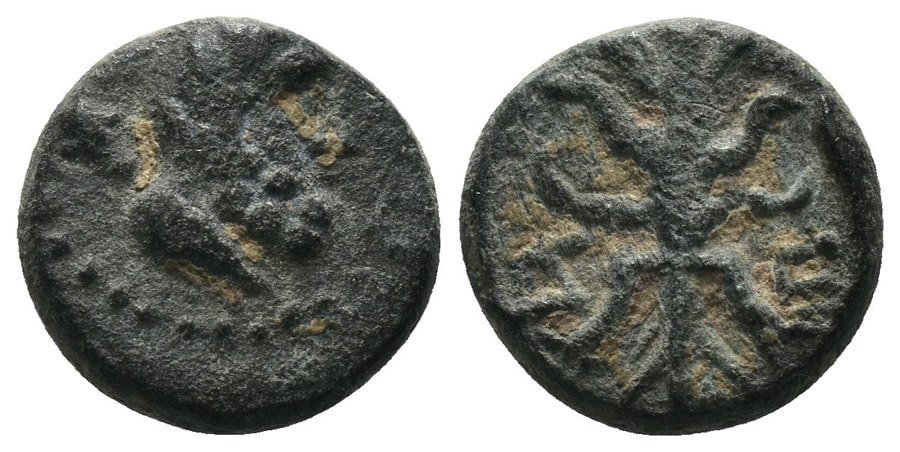 AGESİLAOS ANTİK SİKKELER NÜMİZMATİK_SELGEON (9).jpg