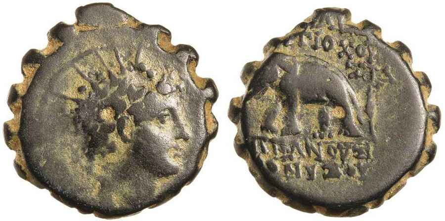 Agesilaos Antik Sikkeler Nümizmatik_selk (14).jpg