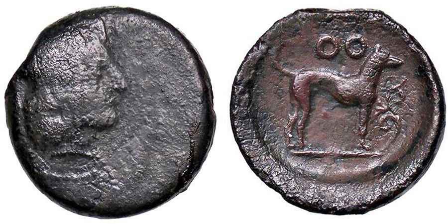 Agesilaos Antik Sikkeler Nümizmatik_SGS (3).jpg