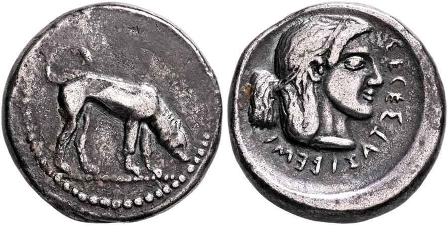 Agesilaos Antik Sikkeler Nümizmatik_SGS (7).jpg