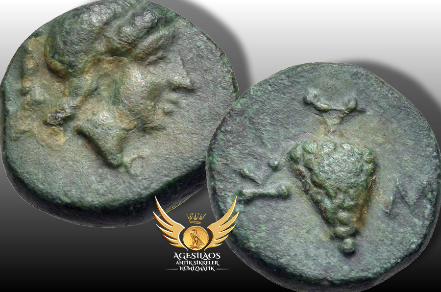 Agesilaos Antik Sikkeler Nümizmatik_SK.jpg