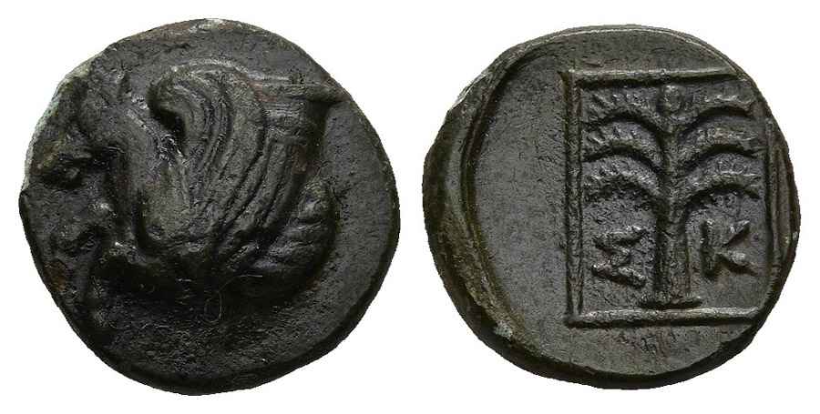 Agesilaos Antik Sikkeler Nümizmatik_SKEP (4).jpg