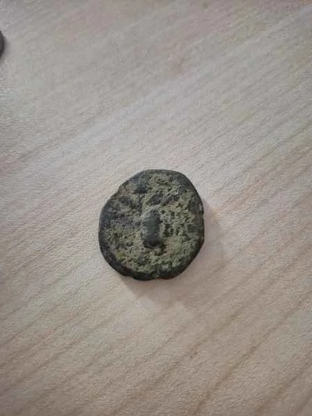 Agesilaos Antik Sikkeler Nümizmatik_SL_I (2).webp