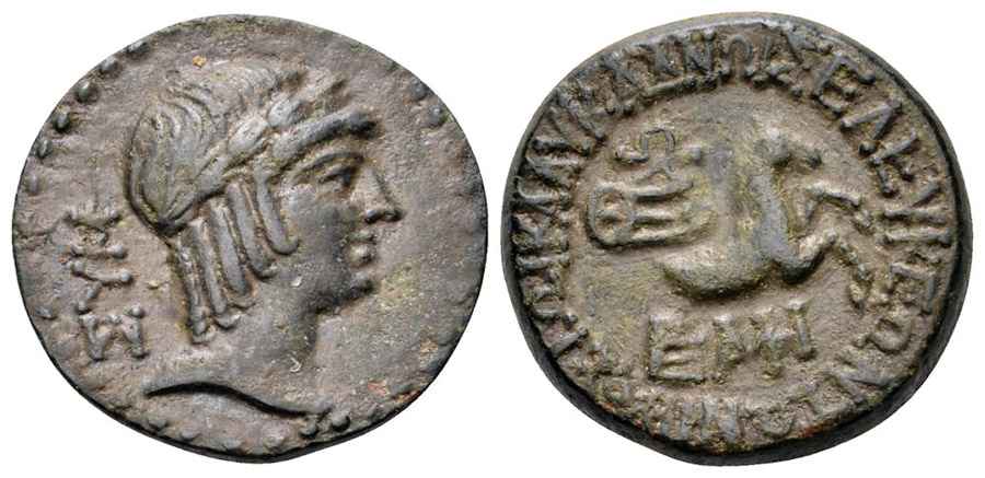 Agesilaos Antik Sikkeler Nümizmatik_SLC (4).jpg