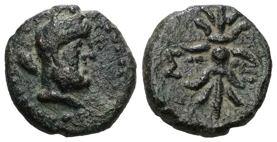 Agesilaos Antik Sikkeler Nümizmatik_SLG (2).webp